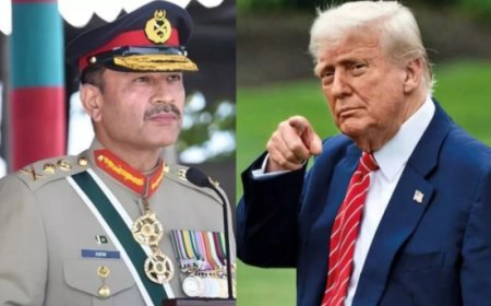 ट्रंप का पाकिस्तान पर क्रिटिकल मिनरल्स दांव क्यों पड़ सकता है उल्टा? असीम मुनीर और सुरक्षा संकट